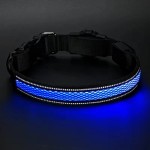 Dog Collar Supplier - Hot Sale Tracker Holder Reflective PVC