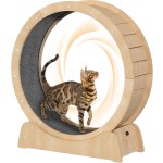 Cat Treadmill Manufacturer - Large Carpeted Runway Silent