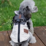 Dog Coat Manufacturer - With Harness Waterproof Windproof