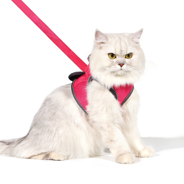Pet Harness Supplier - Custom Adjustable Nylon No-Pull