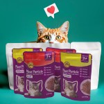 Pet Food Manufacturer - OEM Beef Chicken Flavor 85g Meat