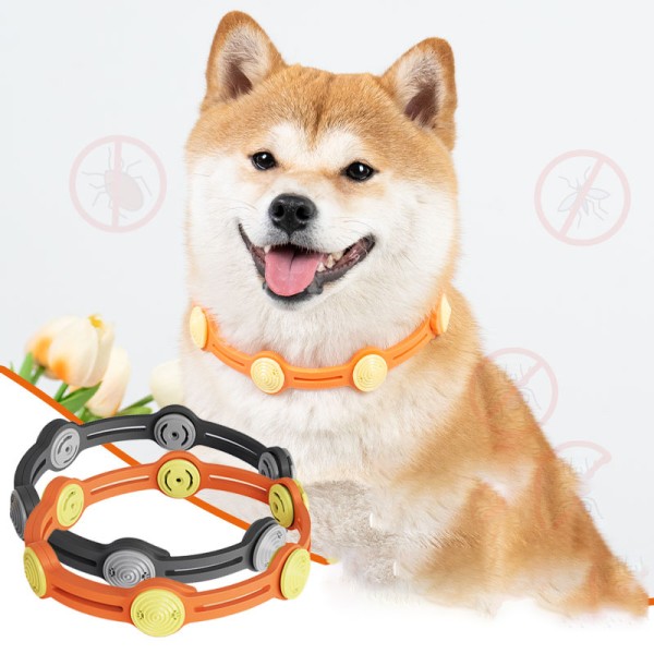 Dog Collar Manufacturer - Custom Color Waterproof TPR