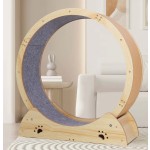 Pet Exercise Wheel Factory - Ultimate Walking Fun Stimulating