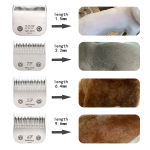 Pet Hair Shaver Factory - High Quality 5a Blade Professional