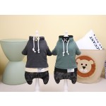 Dog Clothing Supplier - New Autumn Winter Teddy Cat