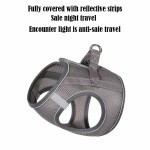 Pet Harness Supplier - Custom Adjustable Nylon No-Pull