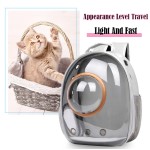 猫背包供应商-热销透明双肩