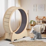 Pet Exercise Wheel Factory - Ultimate Walking Fun Stimulating