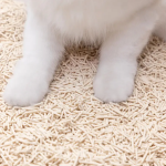 Cat Litter Manufacturer - Ultra Absorbent 7L Dust Free