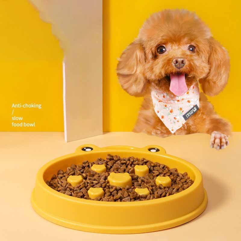 Dog Bowl Factory - Cute Slow Feeding Small Medium Breed