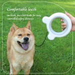 Retractable Leash Manufacturer - Automatic Retractor Walking