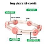 Dog Collar Manufacturer - Custom Color Waterproof TPR