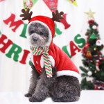 Pet Costume Supplier - Hot Selling Funny Christmas Nylon