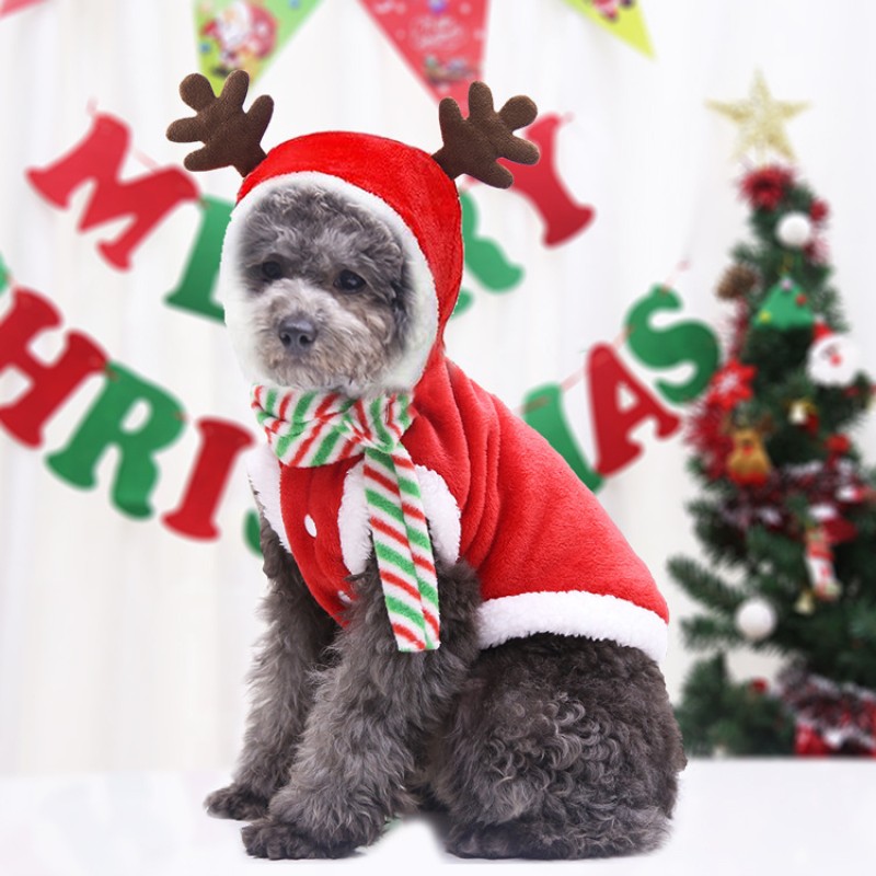Pet Costume Supplier - Hot Selling Funny Christmas Nylon