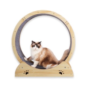 Cat Wheel Supplier - Natural Wood Color Exercise Cute