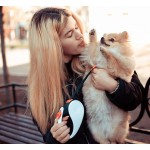 Retractable Leash Factory - New Style 16 ft Nylon Tape