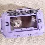 宠物航空箱供应商-小型透气中国航空便携