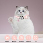 Cat Collar Supplier - Airtag Safety Breakaways Buckle