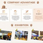 猫包工厂-便携折叠透气航空