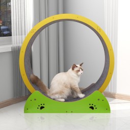 Cat Treadmill Manufacturer - Large Carpeted Runway Silent