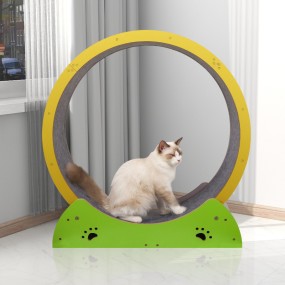 Cat Treadmill Manufacturer - Large Carpeted Runway Silent