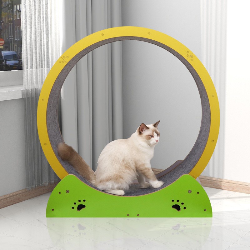 Cat Treadmill Manufacturer - Large Carpeted Runway Silent