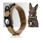 Dog Collar Manufacturer - Custom High End Nylon Air Tag