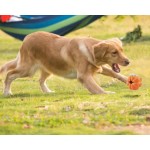 Puppy Toy Factory - Pumpkin Shaped Squeaky Aggressive Chewers