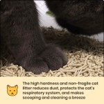 Cat Litter Manufacturer - Tofu Clumping Unscented Flushable