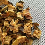 狗零食工厂-鸭肉干咀嚼卷高蛋白关节