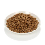 Cat Food Supplier - China Factory Grain-free 1kg Adult
