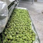 Cat Treats Factory - Factory Freeze-Dried Cat Grass Particles