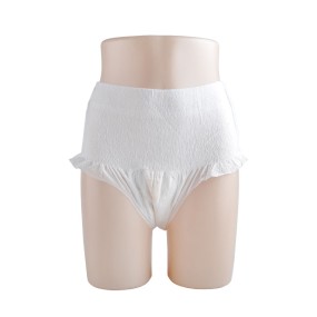 Period Pants Factory - 3D Leak Prevention Disposable Panties