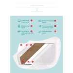 卫生巾生产厂家-草本棉无翼卫生巾