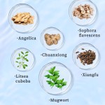 护垫工厂-可定制抗菌棉护垫