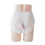 经期裤生产商-日用夜用卫生巾裤