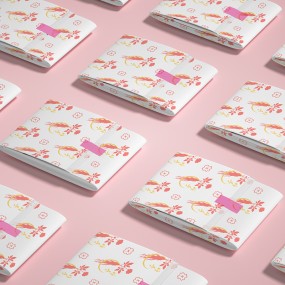 Sanitary Napkins Supplier - Day Night Use Cotton Pads