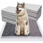 Pet Pads Manufacturer - Premium Training Supplies