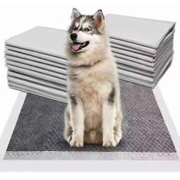 Pet Pads Manufacturer - Premium Training Supplies