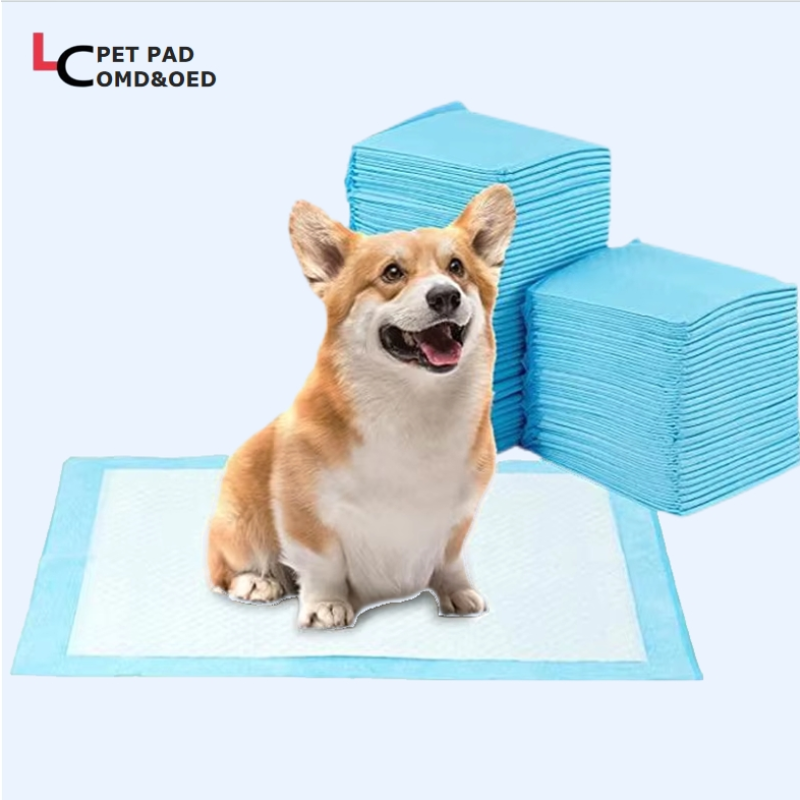 Pet Pads Supplier - Biodegradable Waterproof Washable