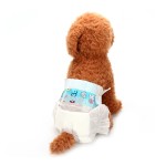 Pet Diapers Factory - OEM Wholesale Cat Dog Training