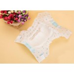 Pet Diapers Supplier - High Absorption Wood Pulp Microfiber