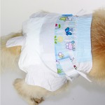 Pet Diapers Manufacturer - High Absorption Disposable