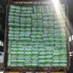 Baby Diaper Supplier - Organic Fast Shipping Bulk