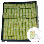 Baby Diaper Manufacturer - OEM Custom Newborn Nappies