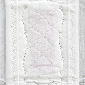 Sanitary Pads Manufacturer - ODM Competitive Anion Chip