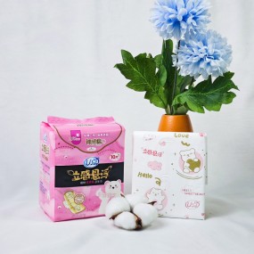 Sanitary Pads Supplier - Hot Sale Anion High Absorbent