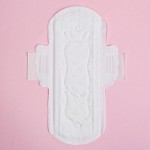 Sanitary Pads Factory - Bamboo Organic Winged Biodegradable