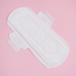 Sanitary Pads Factory - Bamboo Organic Winged Biodegradable