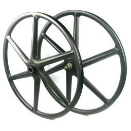 MTB Carbon Wheelset Factory - Lefty Hub Tubeless 6 Spoke Wheels